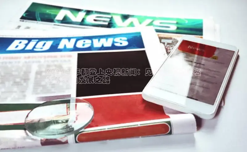 悟空体育网页版金山办公2024年丰都登上央视新闻：见证重庆三峡名
城的蓬勃发展之路