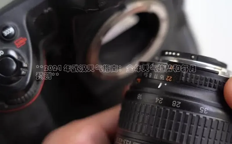 悟空体育直播app官方下载安装哇咔哇咔文化**2024 年武汉天气指南：全年天气趋势和每月
预测**