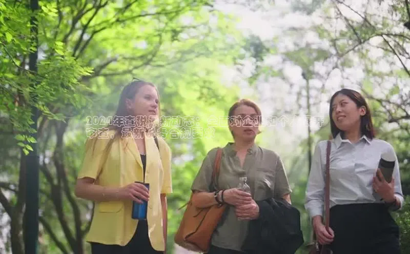 悟空·体育官网入口巴美列捷福2024年查税最新动态：全面对企业和个人展开
审查，最新税务合规要求