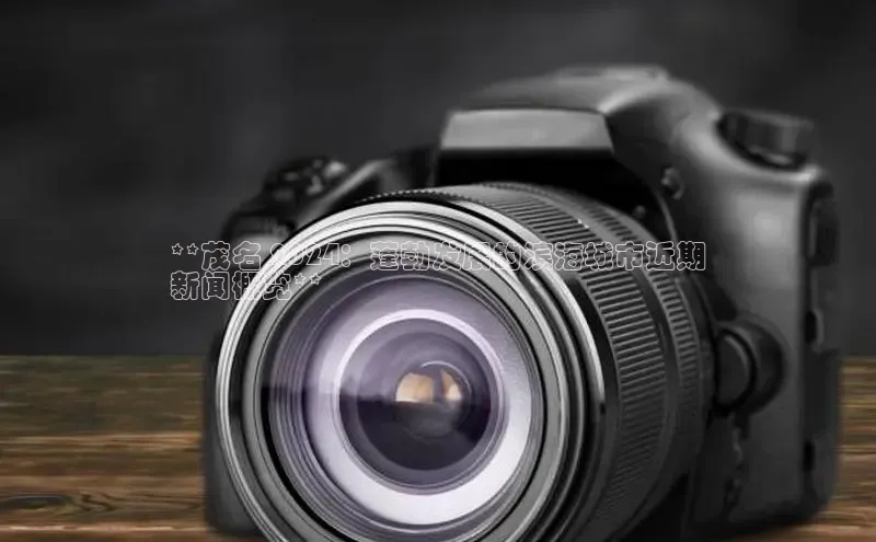 悟空体育网页版颐驰 06**茂名 2024：蓬勃发展的滨海城市近期
新闻概览**