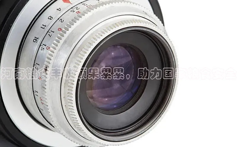 悟空下载官网版app中文在线河南粮食丰收硕果累累，助力国家粮食安全