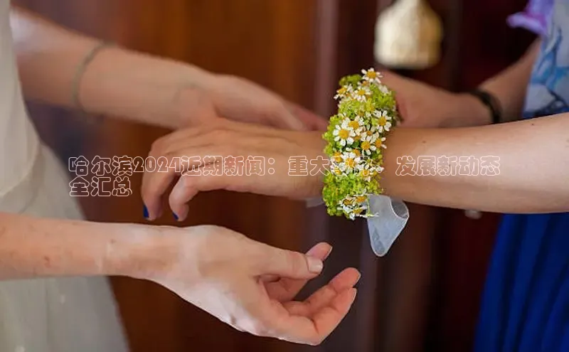 悟空体育app登录入口挪威主权基金哈尔滨2024近期新闻：重大事件、发展新动态
全汇总