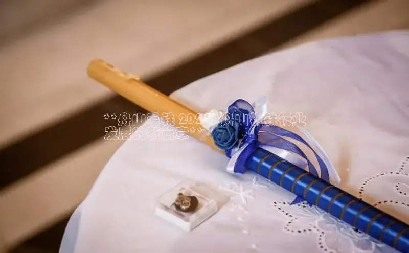 悟空体育网页版百度网盘**舟山毛铁 2024: 舟山钢铁行业
发展的新篇章**