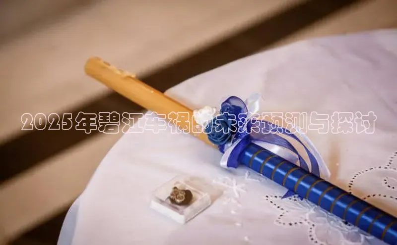 2025年碧江车祸的未来预测与探讨