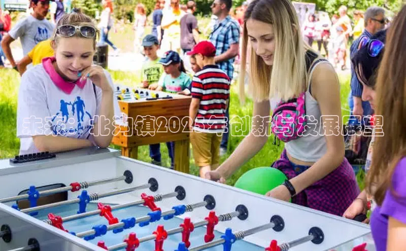 未来：北沟镇2025年创新与发展展望