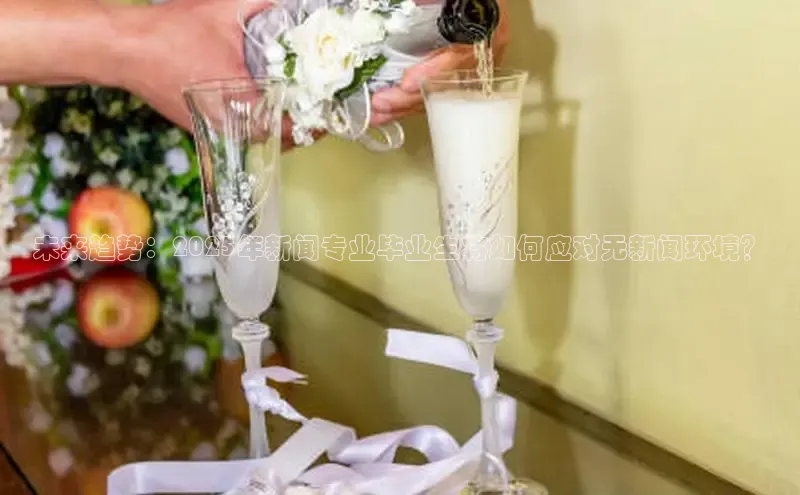 未来趋势：2025年新闻专业毕业生将如何应对无新闻环境？