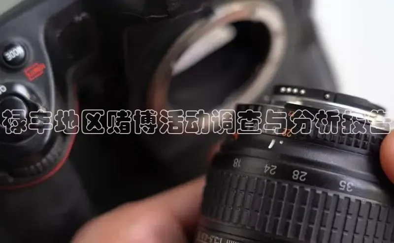 禄丰地区赌博活动调查与分析报告